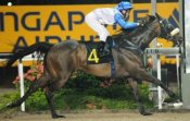 Apprentice Wong Wei Xiang grabs his first win.<br>Photo by Singapore Turf Club